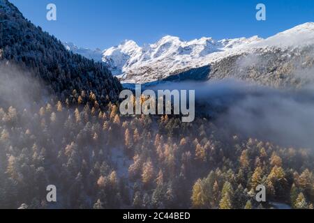 Svizzera, Cantone dei Grigioni, Saint Moritz, Drone vista della nebbia che galleggia sulla valle boscosa del ghiacciaio Manteratsch in autunno Foto Stock