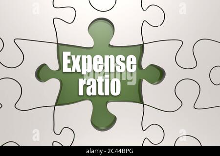 Rapporto spese parola su puzzle, rendering 3D Foto Stock