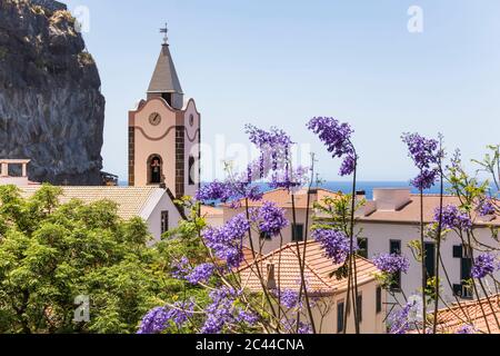 Portogallo, Isola di Madeira, Ribeira Brava, Ponta do Sol, Campanile con fiori viola in primo piano Foto Stock