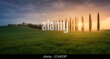 Italia, Toscana, Panorama di prati erbosi e strade rurali alberate al tramonto Foto Stock