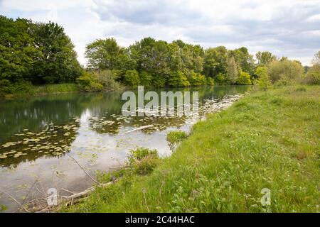 Germania, Renania Settentrionale-Vestfalia, Werne, Banca del fiume Lippe in primavera Foto Stock