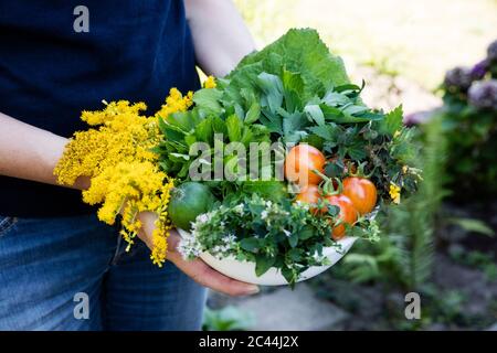 Donna che mantiene una ciotola di raccolte di erbe selvatiche acetosa, origano, coltsfoot, herb gerard, Ortica, oro e pomodori Foto Stock