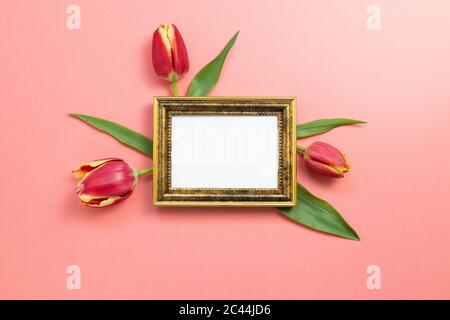 Cornice fotografica vuota con fiori di tulipano rosso su sfondo rosso corallo. Composizione floreale, posa piatta, vista dall'alto, spazio per la copia Foto Stock