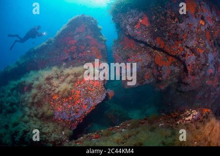 Francia, Corsica, Scuba Diver nuoto oltre mare roccioso in basso Foto Stock