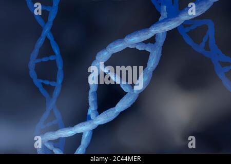 Illustrazione 3D rappresentata, visualizzazione di DNA doppia Helix che portano geni di organismo biologico Foto Stock