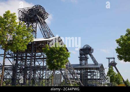 Germania, Renania Settentrionale-Vestfalia, Hamm, alberi della miniera di carbone di Radbod Foto Stock