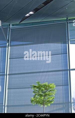 Albero di fronte alla BMW Welt a Monaco, Baviera, Germania Foto Stock