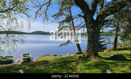 Passeggia lungo il lago tra gli alberi in una soleggiata giornata di primavera. Foto Stock