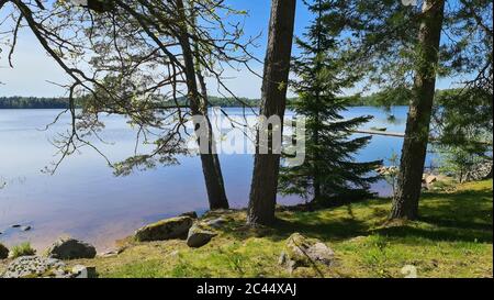 Passeggia lungo il lago tra gli alberi in una soleggiata giornata di primavera. Foto Stock