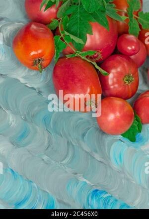 Le varietà di pomodoro hanno il nome Dwarf Firebird Sweet. Pomodoro fresco di manzo rosa maturo. Pomodori a forma di cuore grande Foto Stock