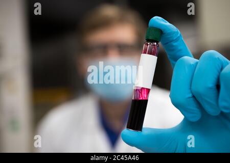 Scienziato in un laboratorio che tiene una fiala piccola per un esame del sangue. Nel mondo Covid-19 pandemia Foto Stock