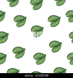 motivo senza cuciture con foglie tropicali, sfondo estivo tropicale per tessuto, avvolgimento o carta da parati, simpatica illustrazione botanica disegnata a mano Foto Stock