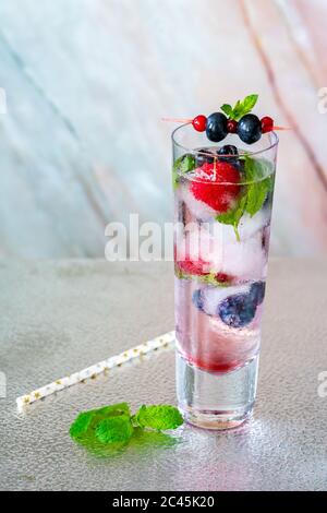 Cocktail tonico e gin con cubetti di ghiaccio alla frutta e menta - rinfrescante idea di bevanda alcolica estiva Foto Stock