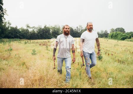 Due uomini tatuati con bearded con lunghi capelli di brunetta che camminano attraverso un prato, portando assi. Foto Stock