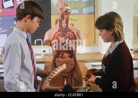 Scuola gli studenti impegnati con un corpo umano modello didattico. In Inghilterra. Regno Unito Foto Stock