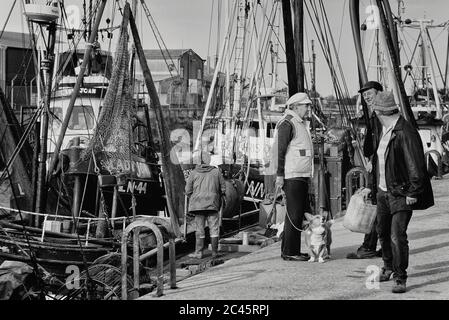 Barche di gamberetti. King's Lynn. Norfolk. Inghilterra. REGNO UNITO. Europa Foto Stock