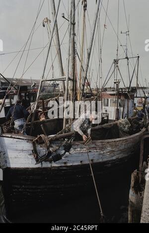 Barche di gamberetti. King's Lynn. Norfolk. Inghilterra. REGNO UNITO. Europa Foto Stock