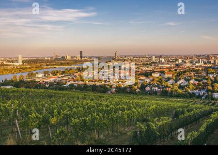 Vista dai vigneti su Nussdorf e Danubio con VIC sullo sfondo Foto Stock