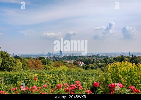 Vista da Reisenberg sulla città di Vienna Foto Stock