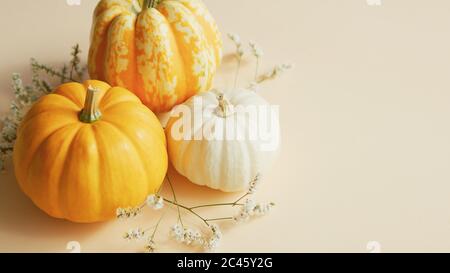 Diversi tipi di zucche e erbe aromatiche Foto Stock