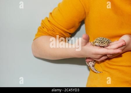 Primo piano di ragazza teenage che tiene macchiato gecko leopardo animale domestico. Foto Stock