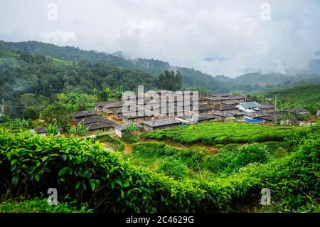 Villaggio rurale di montagna in fondo alla valle con piantagione di tè e foresta pluviale contro cielo coperto. Bogor, West Java Foto Stock