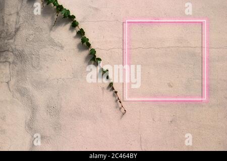 cartello al neon su parete in cemento. Spazio di copia e pubblicità. Ivy sul muro. Foto Stock