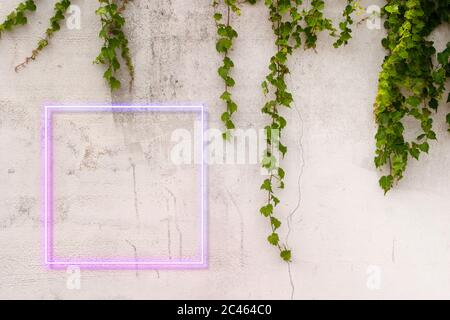 cartello al neon su parete in cemento. Spazio di copia e pubblicità. Ivy sul muro. Foto Stock