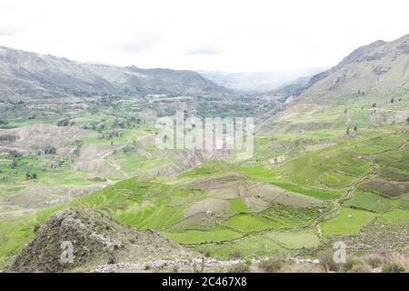 Vista panoramica delle terrazze agricole del Canyon del Colca, vicino ad Arequipa, Perù. Il fiume Colca creò un canyon di circa 70 km. Di lunghezza, essendo il deepe Foto Stock