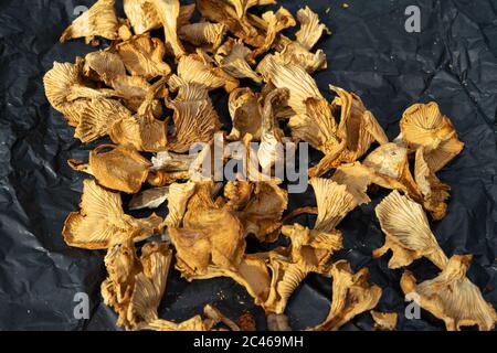 funghi secchi su carta nera sbriciolati. prodotti organici Foto Stock