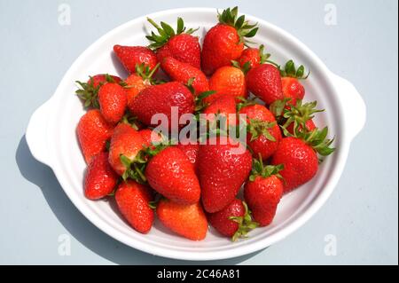 Fragole su una piastra bianca Foto Stock