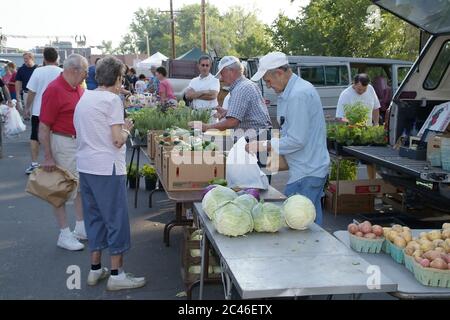 ST. CHARLES, STATI UNITI - 23 dicembre 2008: La gente che acquista per le verdure fresche ad un mercato agricolo all'aperto in Missouri Foto Stock