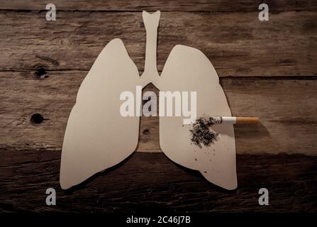 Immagine concettuale di sigaretta bruciata su polmoni di carta isolati su sfondo rustico. Stile di pubblicità del tabacco e del cancro polmonare, avvertimento medico, stato Foto Stock