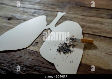 Immagine concettuale di sigaretta bruciata su polmoni di carta isolati su sfondo rustico. Stile di pubblicità del tabacco e del cancro polmonare, avvertimento medico, stato Foto Stock