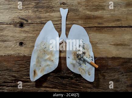 Immagine concettuale di sigaretta bruciata su polmoni di carta isolati su sfondo rustico. Stile di pubblicità del tabacco e del cancro polmonare, avvertimento medico, stato Foto Stock