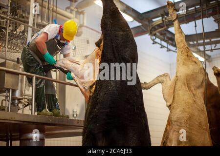 Macellai al lavoro in un impianto di lavorazione della carne nel Regno Unito. Foto Stock