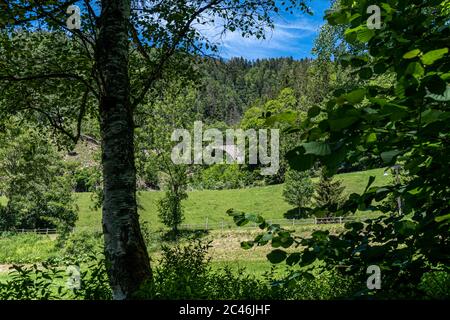 Vista in lontananza di un ponte ferroviario che si estende sulla gola di Ravenna nella Foresta Nera Foto Stock