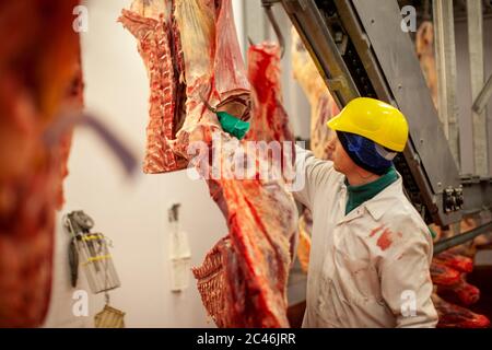 Macellai al lavoro in un impianto di lavorazione della carne nel Regno Unito. Foto Stock