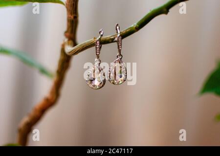 Coppia di orecchini appesi sul ramo Foto Stock