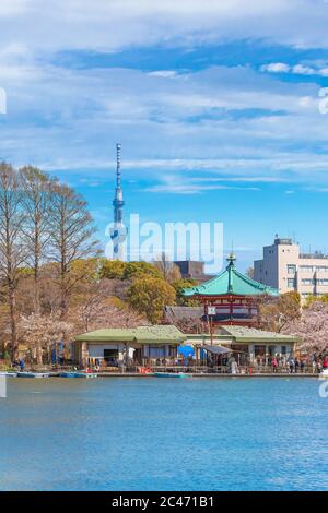 tokyo, giappone - marzo 31 2020: Shinobazu stagno del tempio Kaneiji circondato da alberi di fiori di ciliegio dove la gente godendo Ueno parco festival hanami wit Foto Stock