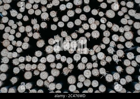 Vista dall'alto di bastoni rotondi in legno di diverse misure tagliate Foto Stock