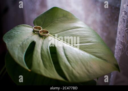 Coppia di anelli di nozze dorati sulla foglia verde Foto Stock