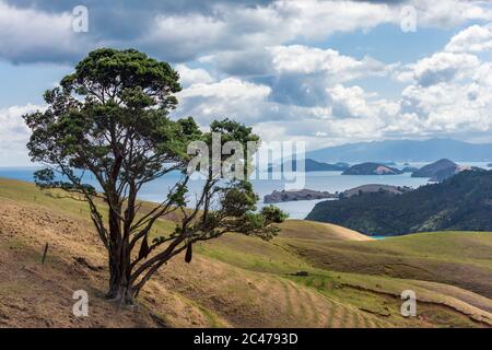 Il Firth del Tamigi e vista a nord lungo la costa occidentale della penisola di Coromandel dalla Manaia Road Saddle, Waikato, Isola del Nord, Nuova Zelanda Foto Stock