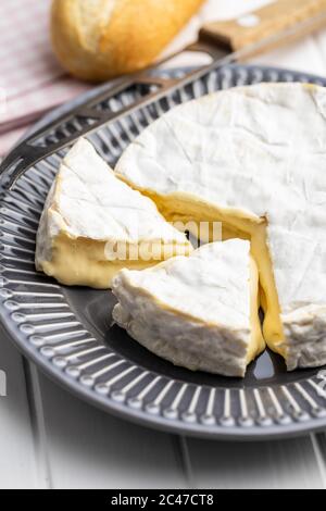 Brie formaggio. Formaggio bianco morbido con muffa bianca su piastra. Foto Stock