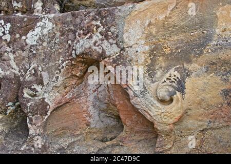 Phu Phra Bat Park insolite formazioni rocciose formate dall'erosione Adattato come santuari buddisti intessuti dettagli di buddha in formazioni rocciose Foto Stock