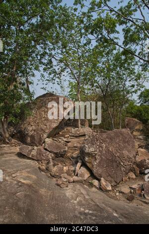 Phu Phra Bat Park, inusuali formazioni rocciose formate dall'erosione adattato come buddista santuari alberi che crescono intorno massi formato ritratto Foto Stock