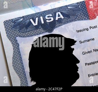 Profilo di Donald Trump sulla parte superiore dell'adesivo del visto americano nel passaporto. Concetto di Donald Trump e HB1 sospensione del visto. Montaggio digitale. Esclusiva Alamy. Foto Stock