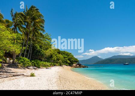 Spiaggia tropicale di Fitzroy in una giornata di sole Foto Stock