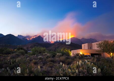 Bighorn Fire accroaching e minaccioso case ai piedi delle montagne di Santa Catalina vicino Sabino Canyon, Tucson, Arizona, Stati Uniti Foto Stock