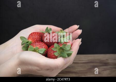 Le mani di una donna tengono un mazzo di fragole rosse tra le dita. Immagine con sfondo nero Foto Stock